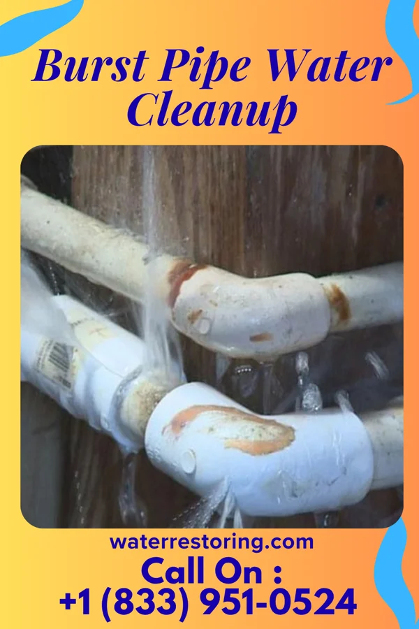 Burst Pipe Water Cleanup in Swift Bird, SD