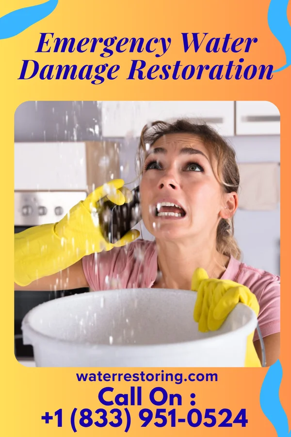 Emergency Water Damage Restoration in Swift Bird, SD